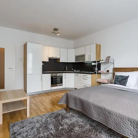 Apartmán Golden Rezidence Nová Karolina Sekce A *